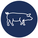 icono-cerdo-jamon-duroc-100