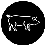 icono-cerdo-jamon-iberico-bellota-100