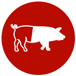 icono-cerdo-jamon-iberico-bellota-50