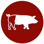 icono-cerdo-jamon-iberico-bellota-75