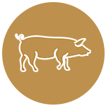 icono-cerdo-jamon-reserva-tio-felipe